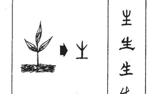 古汉养生精的吃法和效果-古汉养生精的功效与作用及禁忌网- 古汉养生精是什么药知识,分享古汉养生精的吃法和效果